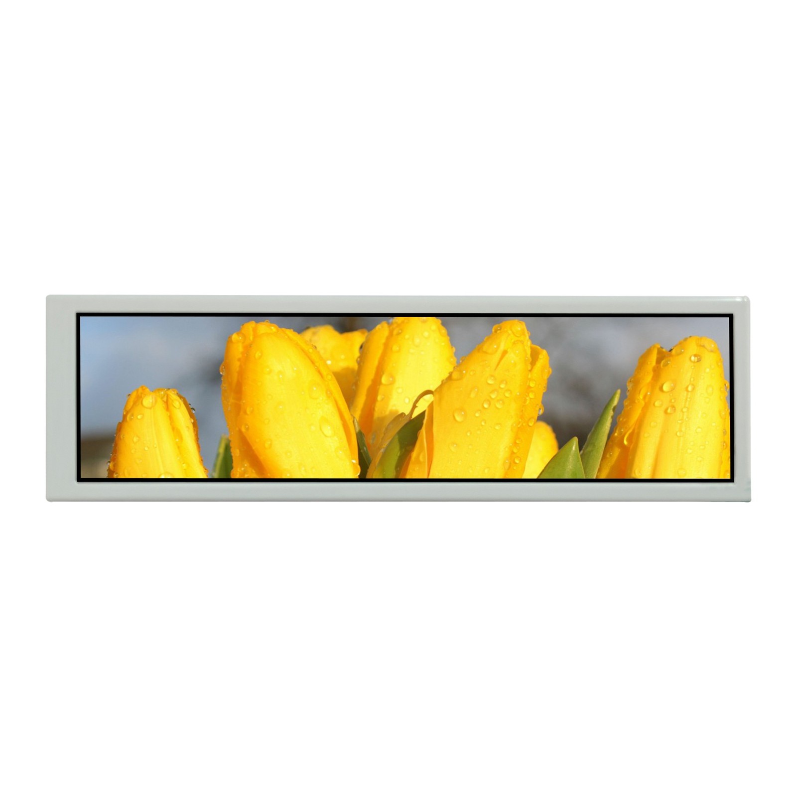 8.8" 1920x480 IPS LCD Screen USB LCD Monitor DIY Sub Screen PC Case Display