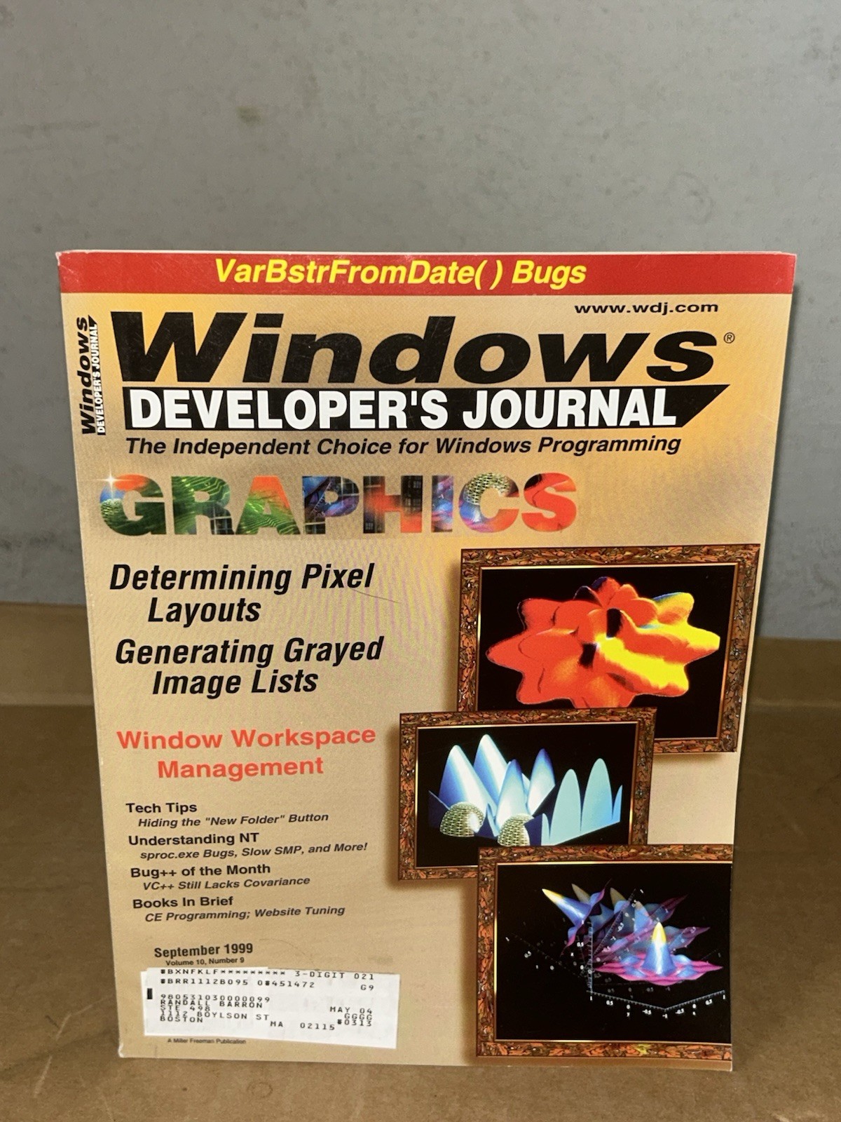 Windows Developer Journal 1999 Graphics: Determining Pixel Layout, Tech Tips
