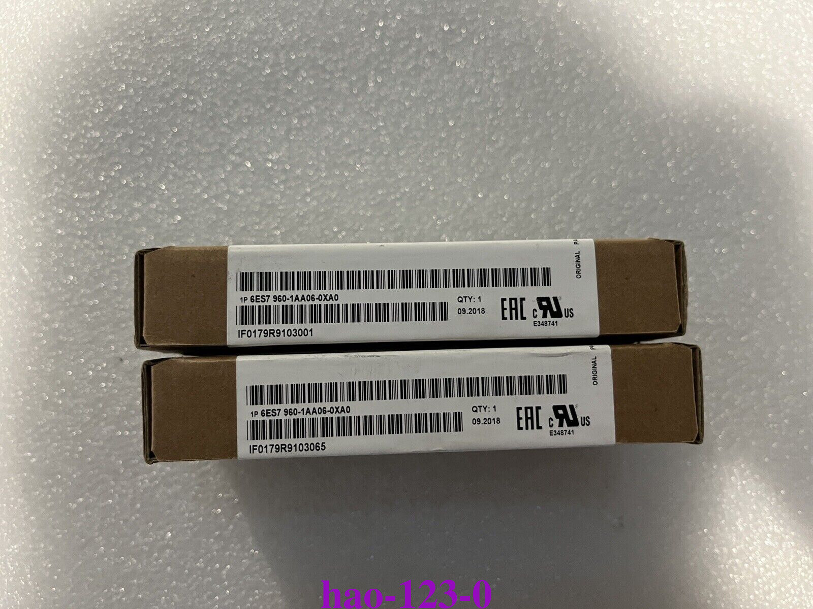 New Siemens 6ES7960-1AA06-0XA0 In Stock Fast Shipping by (DHL or FedEx)