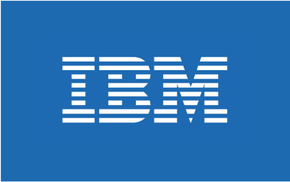IBM 69Y1911 BROCADE CONVERGED 10GBE ETHERNET SWITCH MODULE