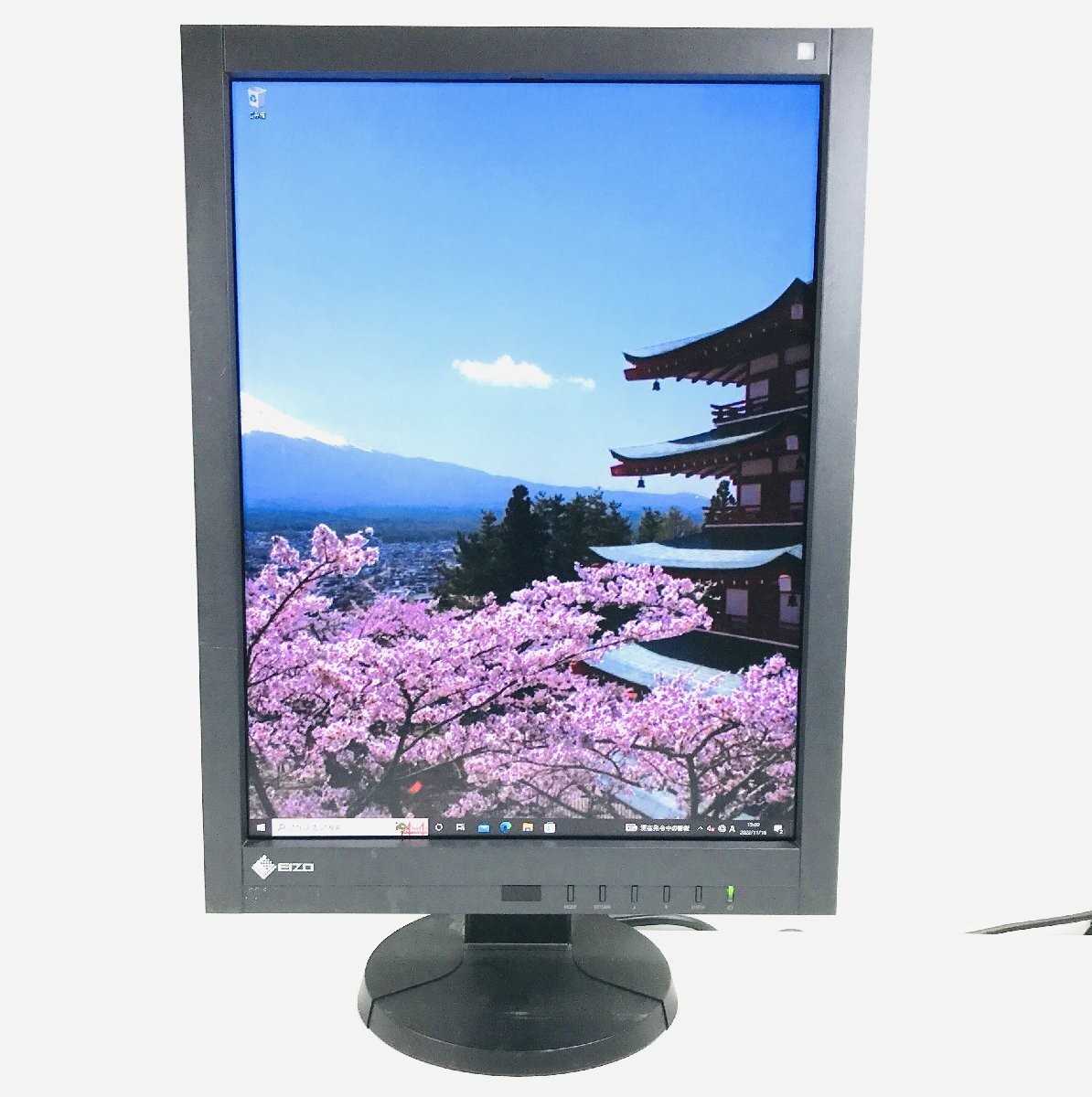 Medical High-definition Monitor EIZO RadiForce RX240 21.3 type