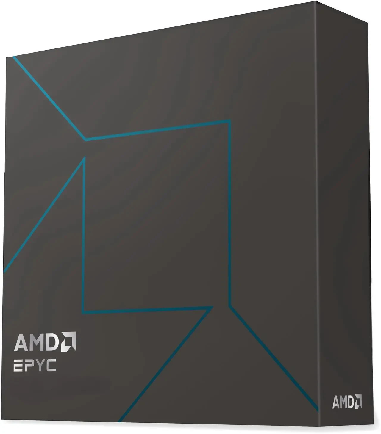 AMD EPYC 4545P Zen 5 16-Core 5.4GHz AM5 65W Server CPU 100-100001764WOF
