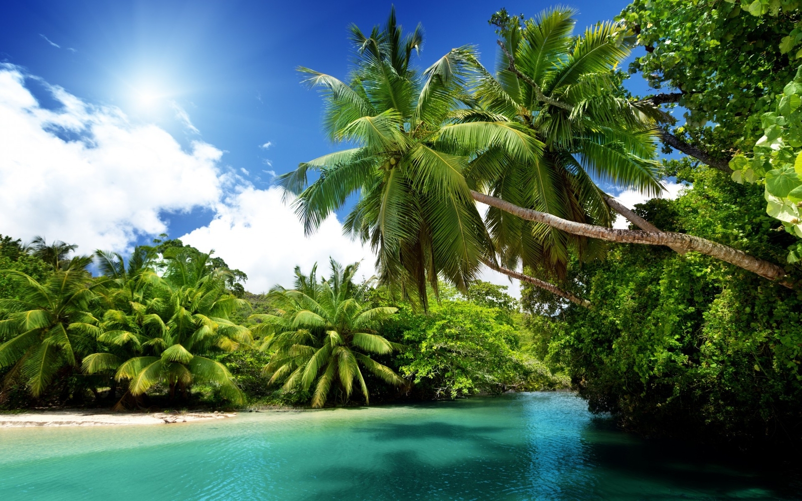 Landscape beach sand palm trees nature Custom Gaming Mat Desk