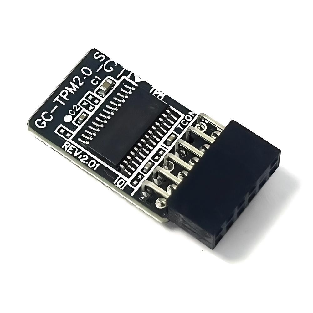 GC-TPM2.0_S 12pin-1LPC SLB9665 Security Module For GIGABYTE B360M HD3 B360M DS3H