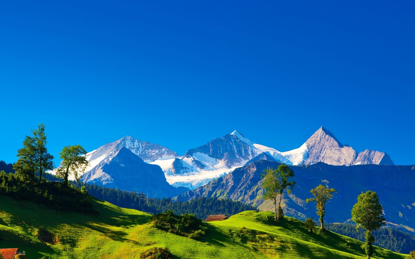 Landscape mountains sky trees nature snowy Custom Gaming Mat Desk