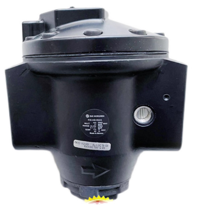 1pc New Fit For NORGREN R18-C00-RNXA pressure regulating valve FedEx or DHL