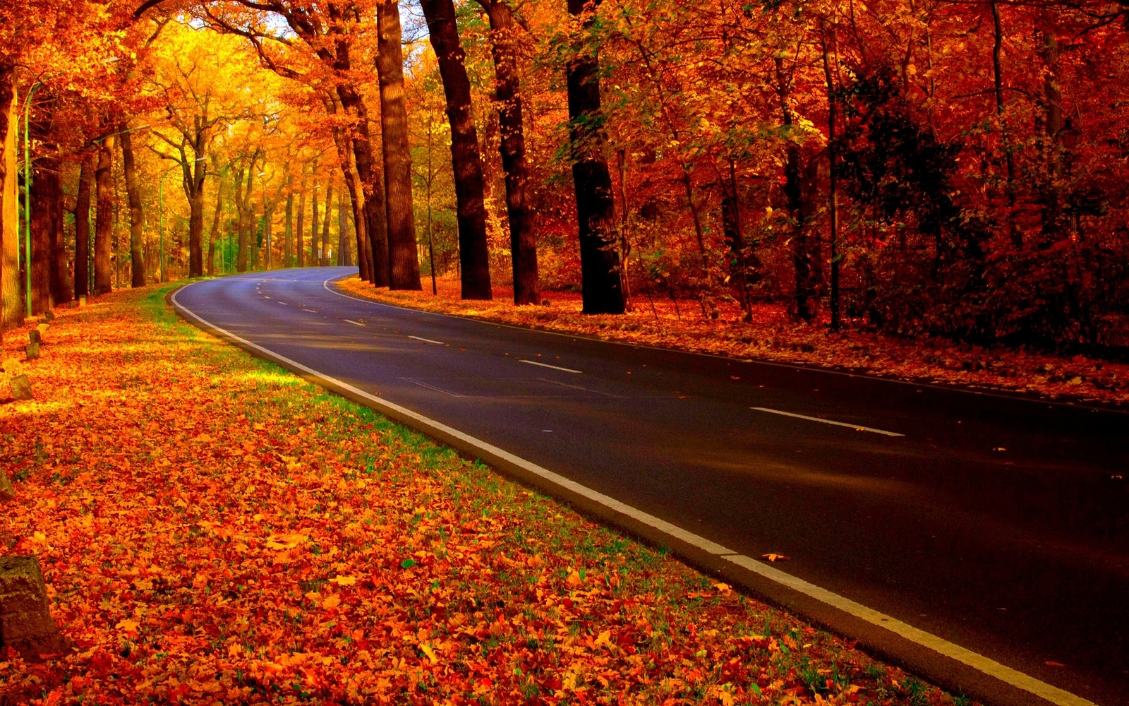 Landscape fall forest nature road asphalt Custom Gaming Mat Desk