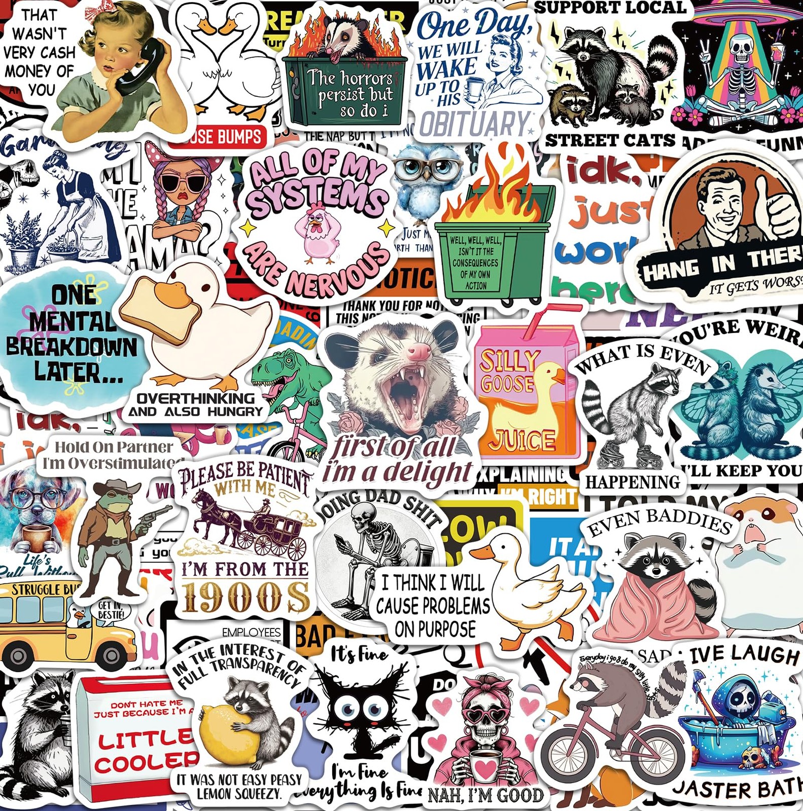 300 Pcs Funny Stickers for Adults, Sticker Pack 1.4 to 2.0 Inches, Multi