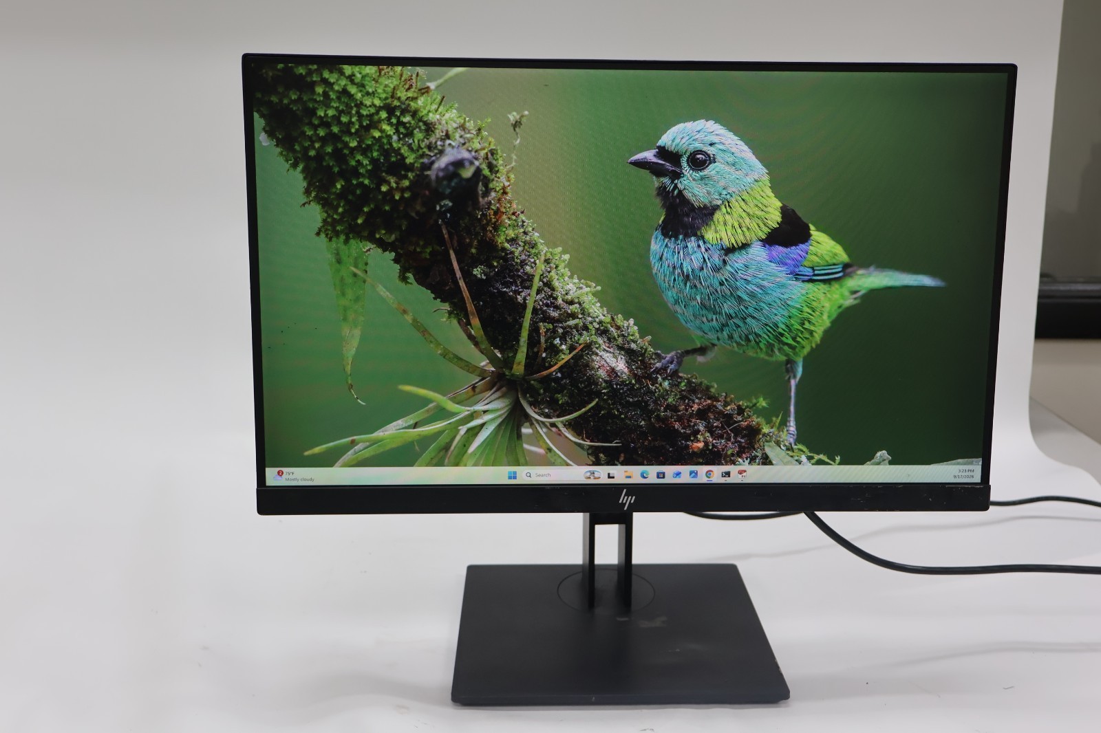 HP Z24i G2 24" IPS LED Monitor 1920x1200 WUXGA Stand & Cables HSTND-9641-L Used