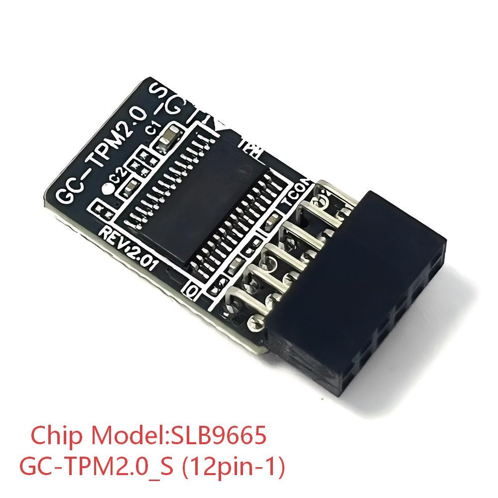 GC-TPM2.0_S 12pin-1 LPC Security Module For GIGABYTE A520M DS3H A520M DS3H V2