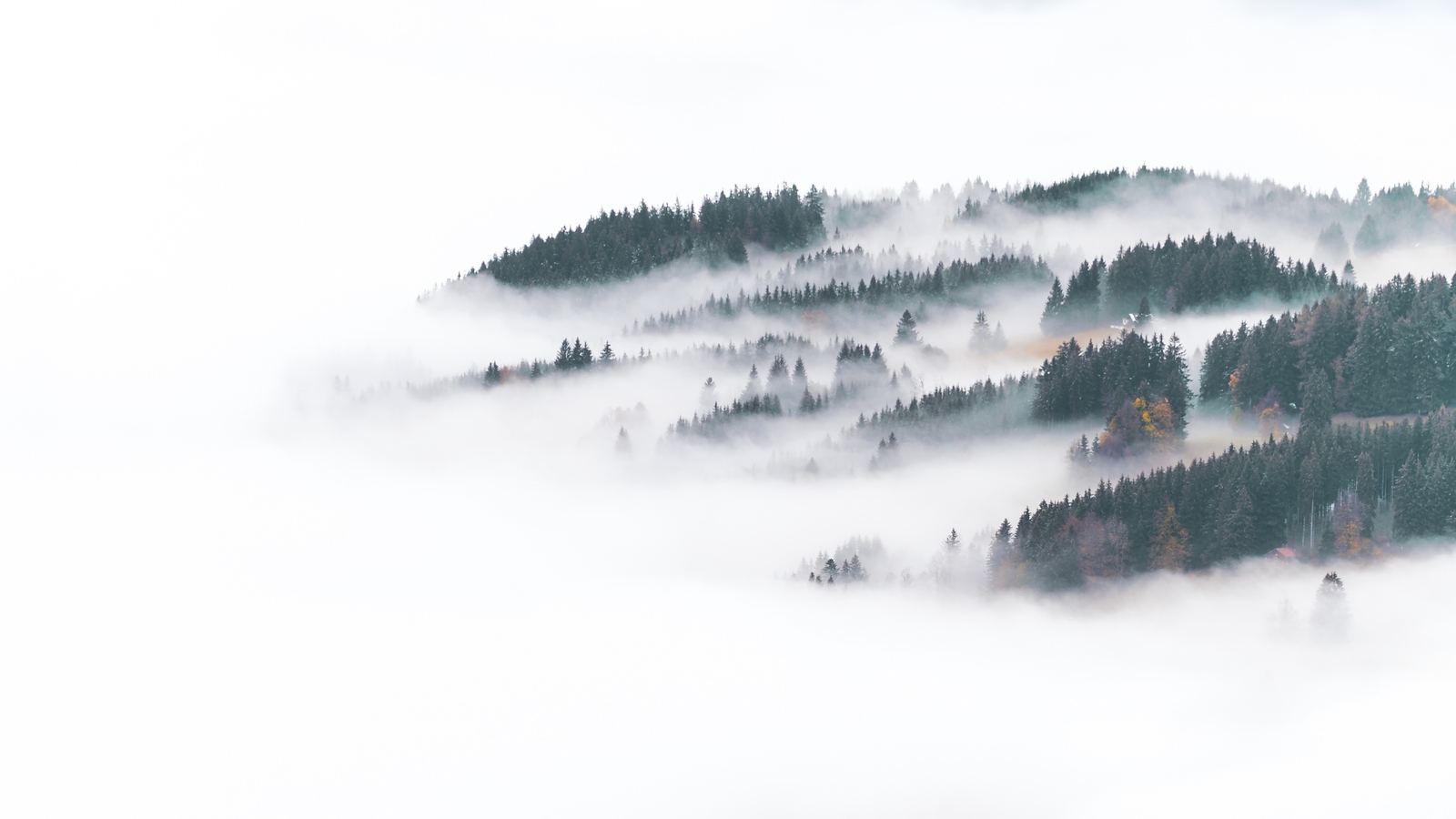 Landscape winter forest nature mist Custom Gaming Mat Desk