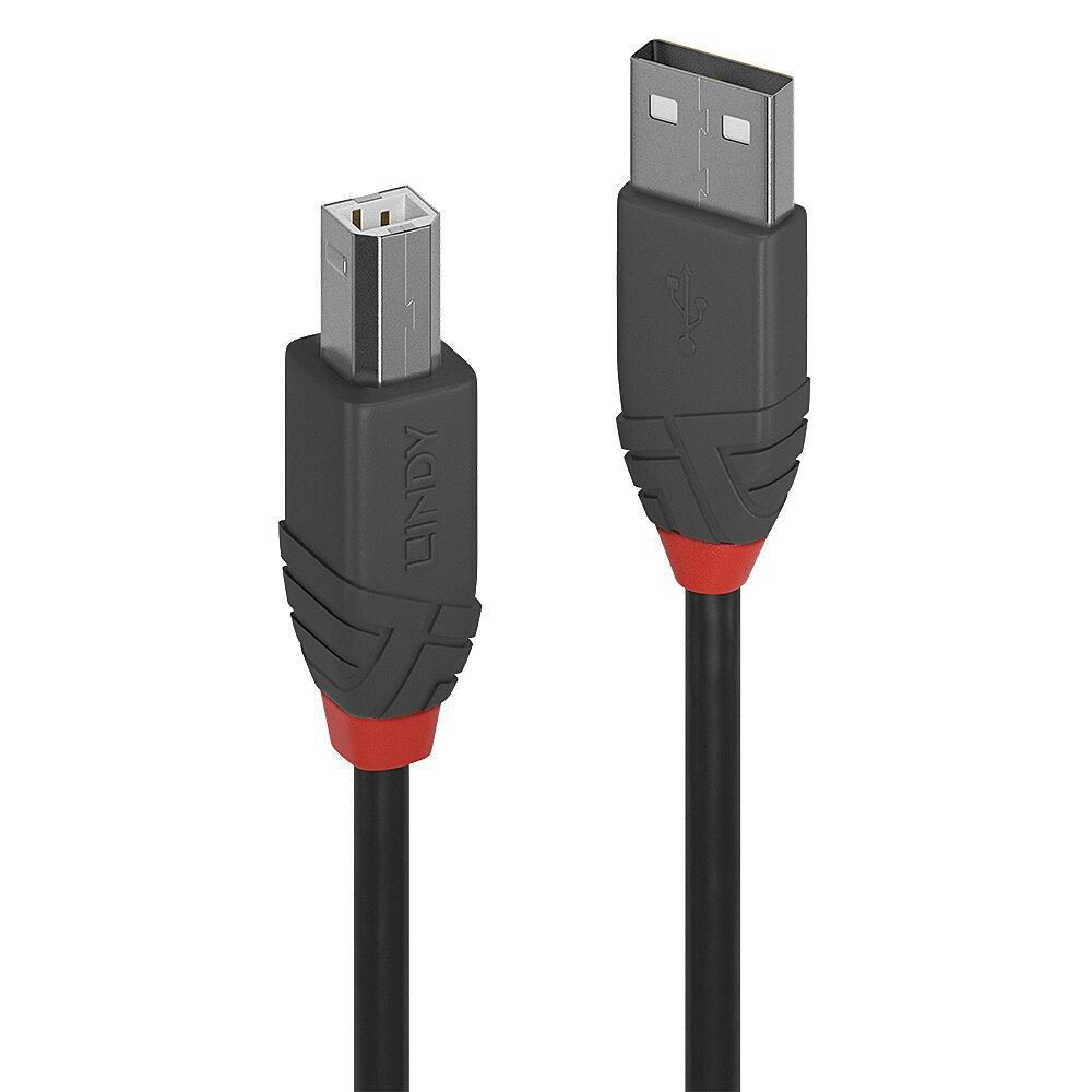 Lindy W128370404 809407 3M USB 2.0 Type A To B Cable Anthra Line ~E~