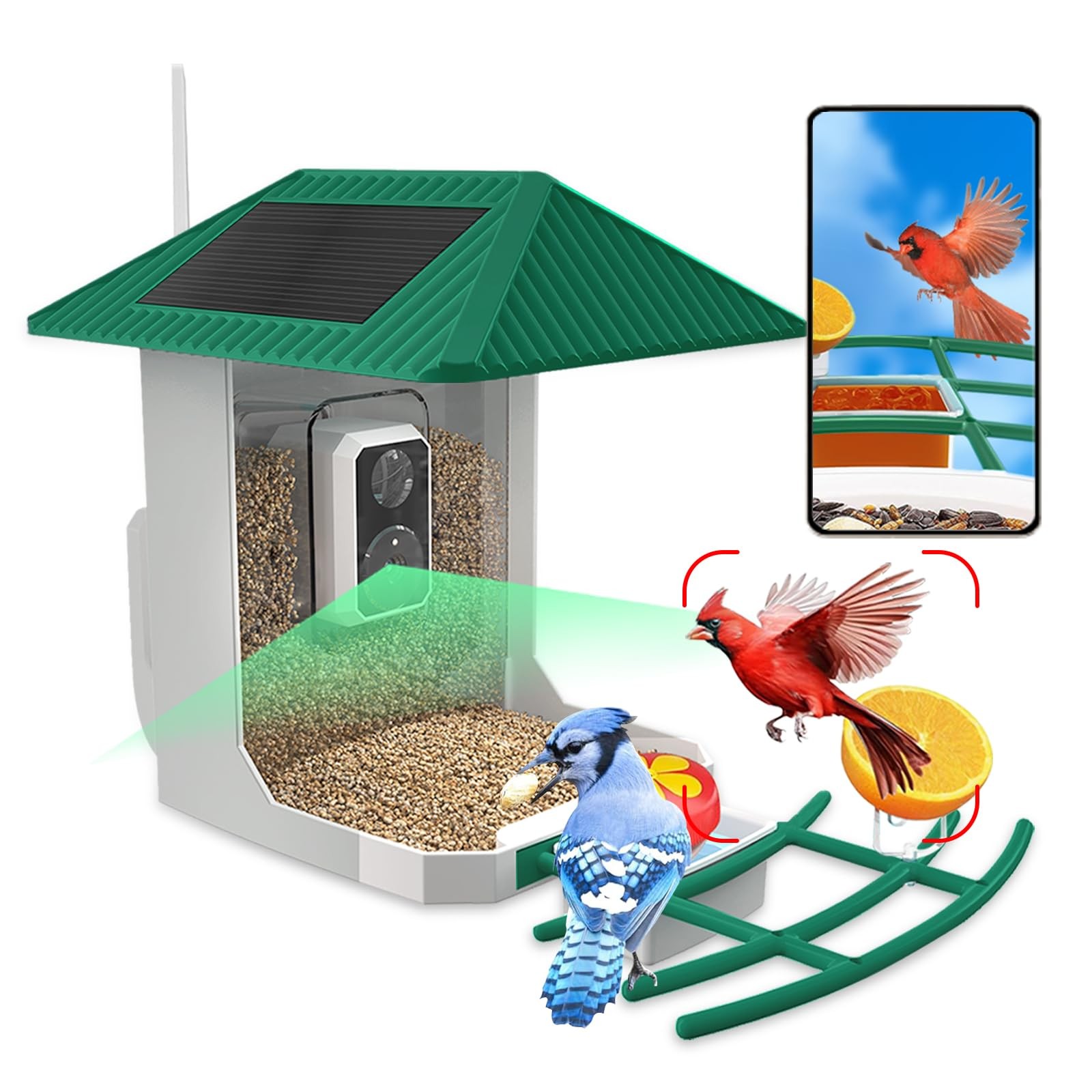 2.5K Smart Bird Feeder with Camera 5GHz &2.4GHz Birds Watching Camera with AI...