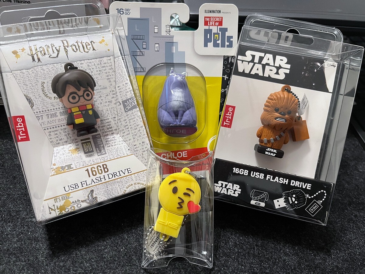 16GB Character Flash Drives (Assorted Characters and Themes) 