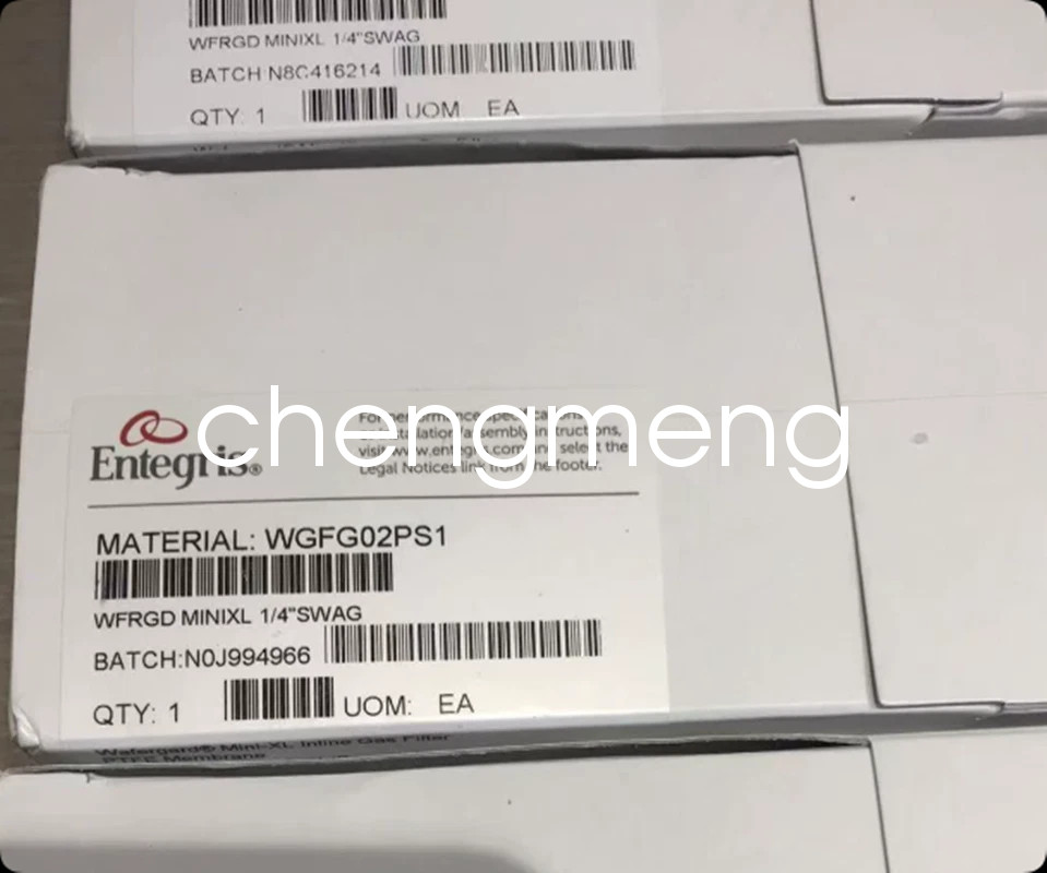 1PCS Entegris WGFG02PS1 filter new Shipping DHL or FedEX