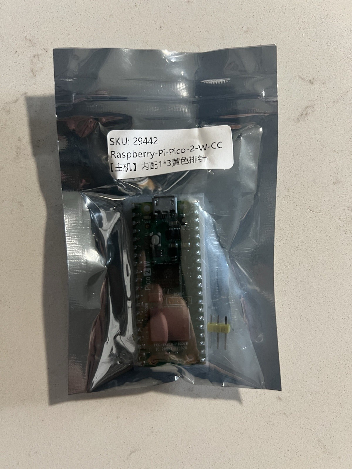 Raspberry Pi Pico 2 W
