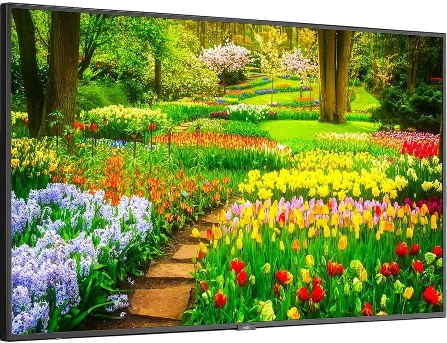 MULTISYNC M491- LED LCD 49" Ultra High Definition Professional Display