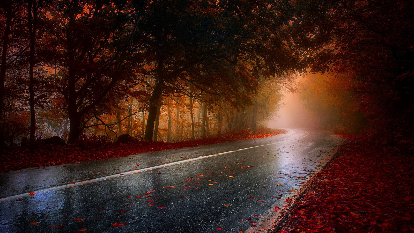 Landscape fall road wet trees red brown Custom Gaming Mat Desk