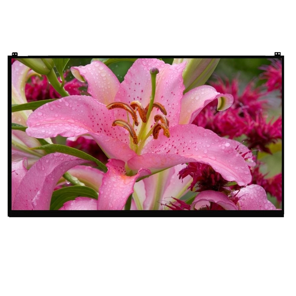 LP170WQ1-SPA1 LP170WQ1 (SP)(A1) LED LCD Screen 17" QHD 2560x1600 40 Pins Narrow