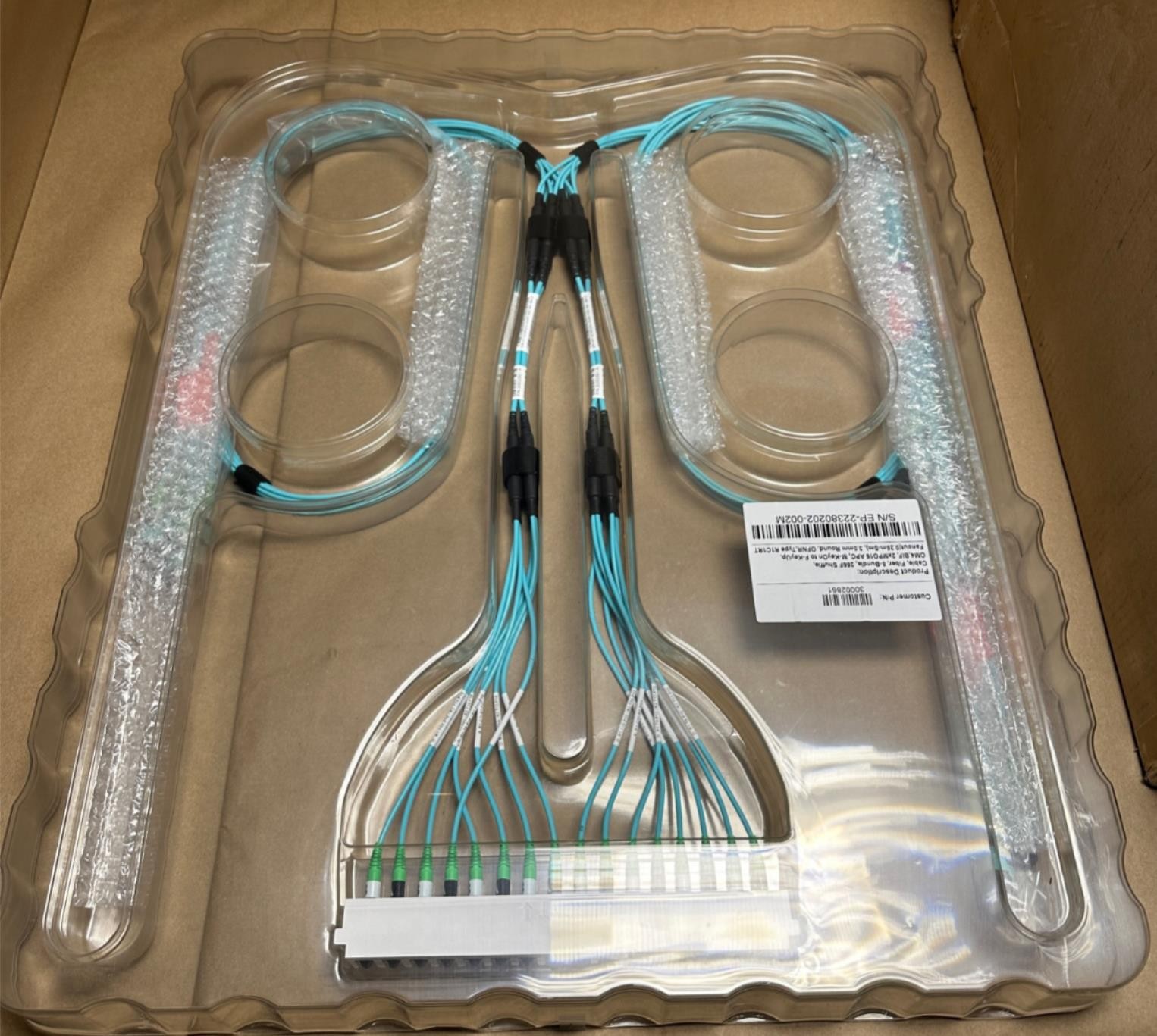 16-Fiber MPO to 2x 8-Fiber MPO Cable 7 ft