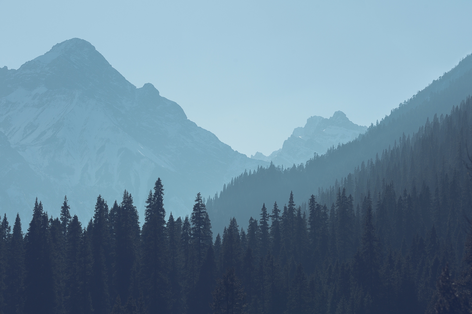 Landscape forest mountains trees Custom Gaming Mat Desk