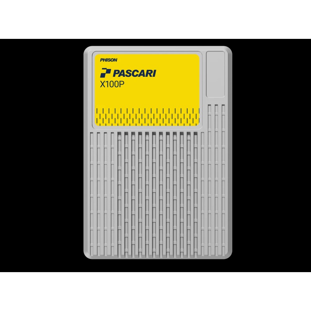 Phison PASCARI D100P E1.S 480GB PCIe Gen4 Data Center High-Speed Non-SED SSD