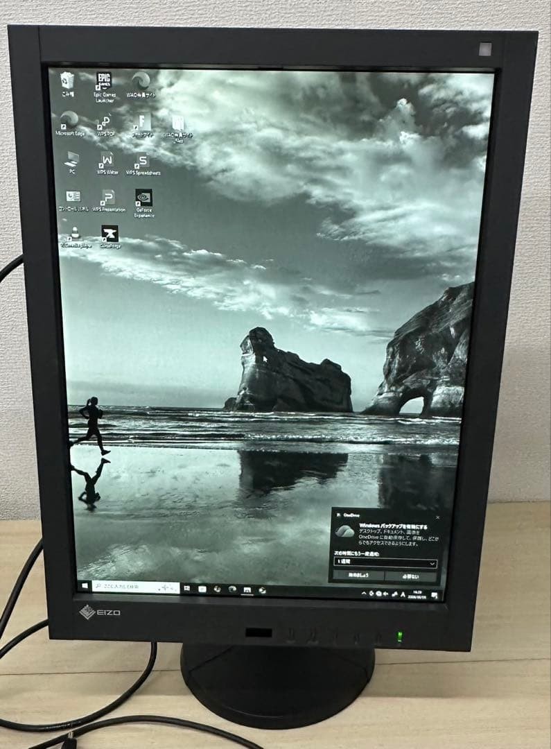 EIZO RadiForce GX240 Monitor 21.3-inch Wide Medical High-definition Monitor Used