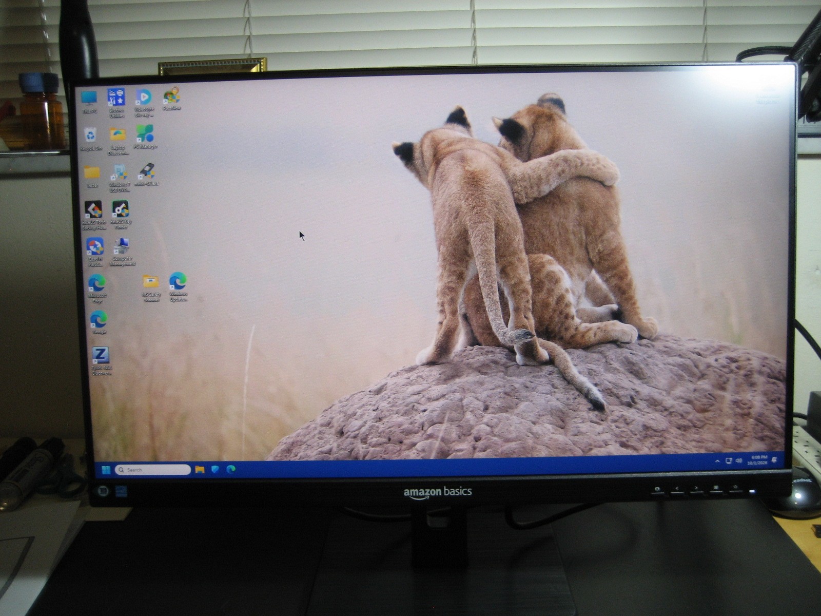 Amazon Basic by AOC 23.8" IPS FHD Monitor (HDMI, VGA, DP) W/ Power & HDMI Cables