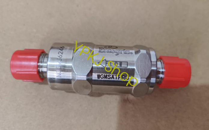 1PCS NEW Entegris WGMSA1HRU Filter Fast delivery Via Fedex/DHL