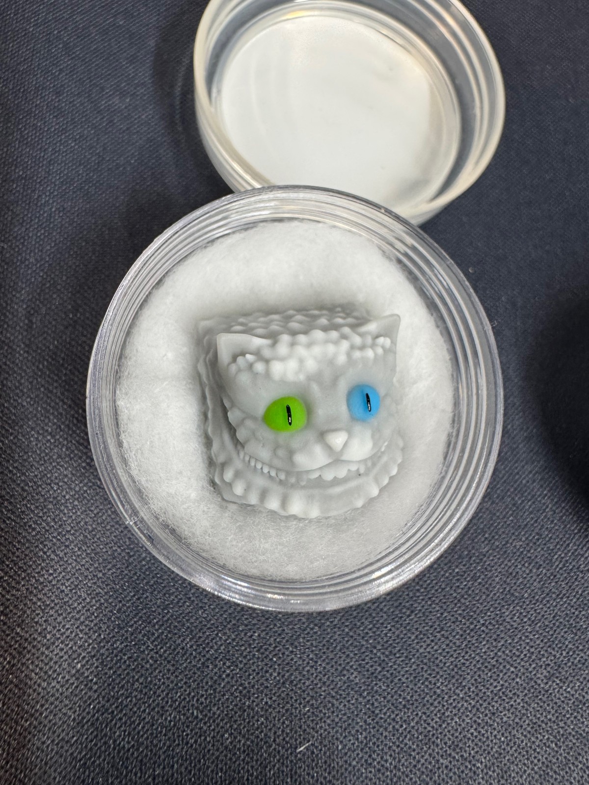 Systematik Kaps - Cheshire - Heterochromia  - Artisan Keycap