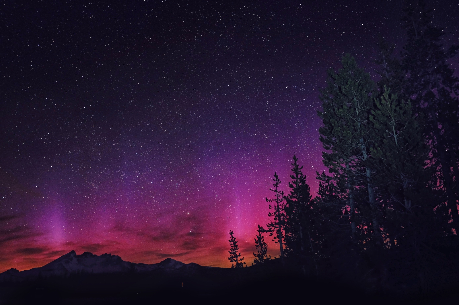 Landscape night stars nature pink trees sky Custom Gaming Mat Desk