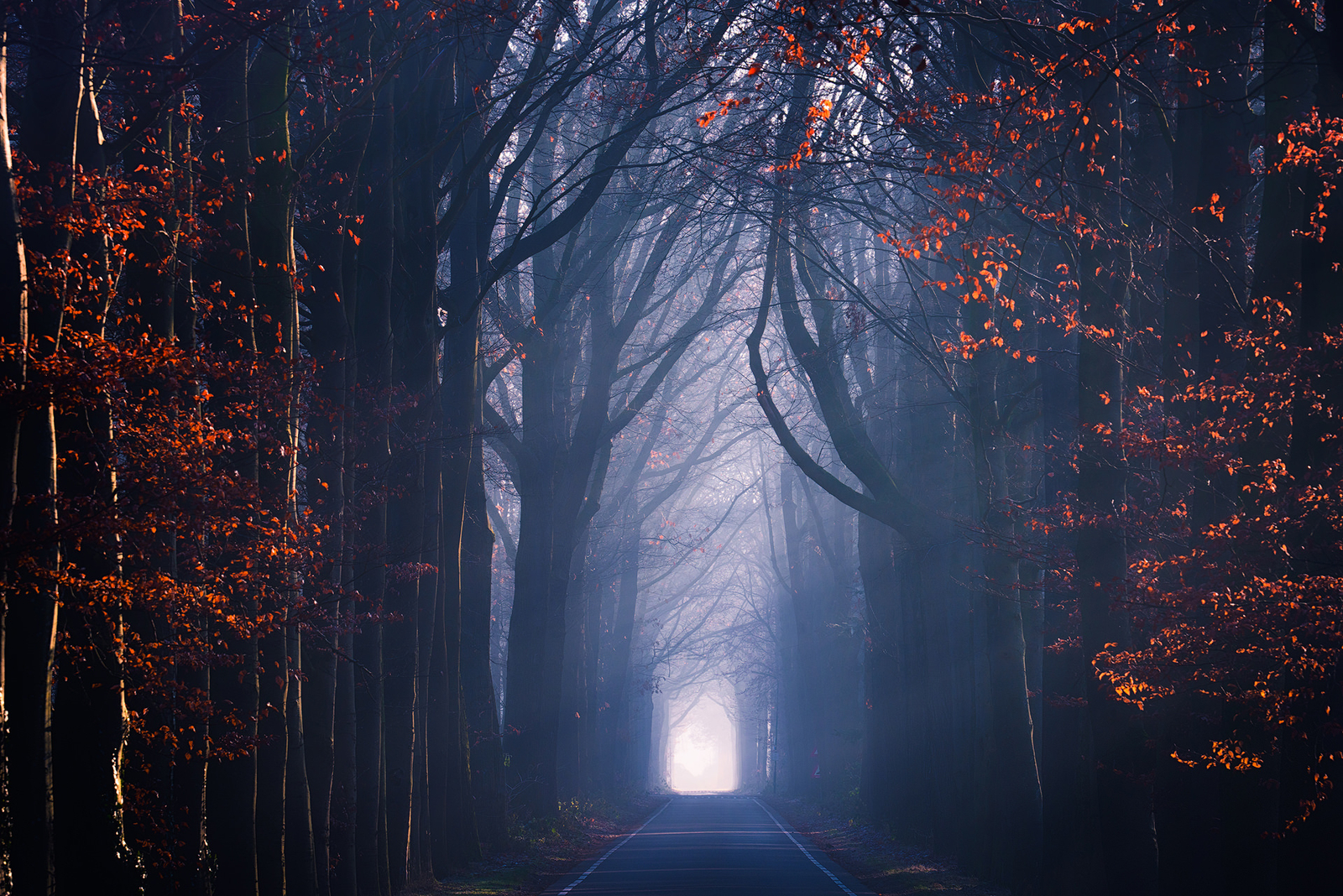 Landscape seasons road trees fall Custom Gaming Mat Desk