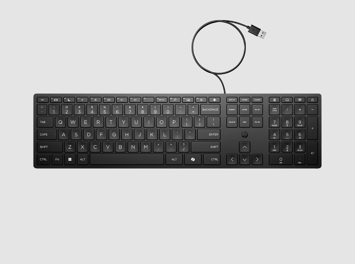 BRAND NEW HP Halley 320K Wired Slim Keyboard | L96909-001
