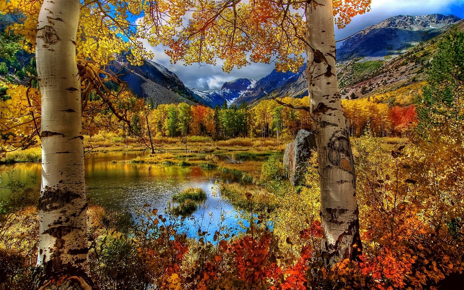 Landscape nature fall trees mountains pond birch Custom Gaming Mat Desk