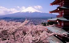 Landscape japan cherry blossom mount fuji Custom Gaming Mat Desk picture