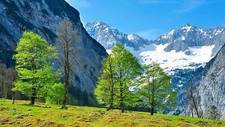 Landscape nature alps trees mountains Custom Gaming Mat Desk picture