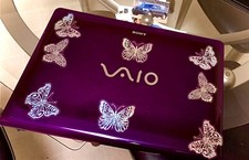 SONY VAIO picture