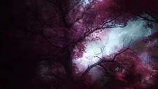 Landscape forest trees Custom Gaming Mat Desk picture