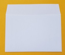 50 floppy disk sleeves for 5.25 diskettes. Plain white sleeves  5.5