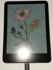 Kindle Colorsoft Signature Edition (32 GB)  - 2024 - Metallic Black picture