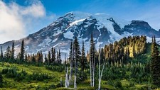 Landscape nature mount rainier washington mountains Custom Gaming Mat Desk picture