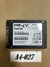 PNY CS900 250GB 2.5