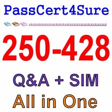 Administration of Symantec Endpoint Protection 14 250-428 Exam Q&A+SIM picture