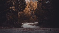 Landscape nature trees road leaves Custom Gaming Mat Desk picture