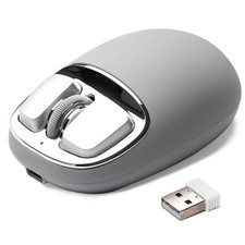 Wireless Mouse picture