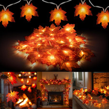2 Pack Thanksgiving Maple Leaf String Lights, Total 20FT 40 LED Battery Operated picture