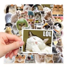 The cutest cat sticker that you put on your laptop, carrier, etc A type picture