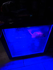 Black Mini Fridge picture