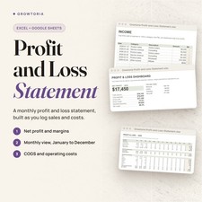 Profit and Loss Statement Template Small Business Excel Google Sheets P&L picture