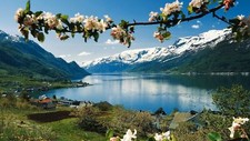 Landscape nature flowers spring mountains snowy peak Custom Gaming Mat Desk picture